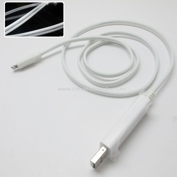 Smart Visible Flowing Cold Light USB Charging Cable for iPhone 5