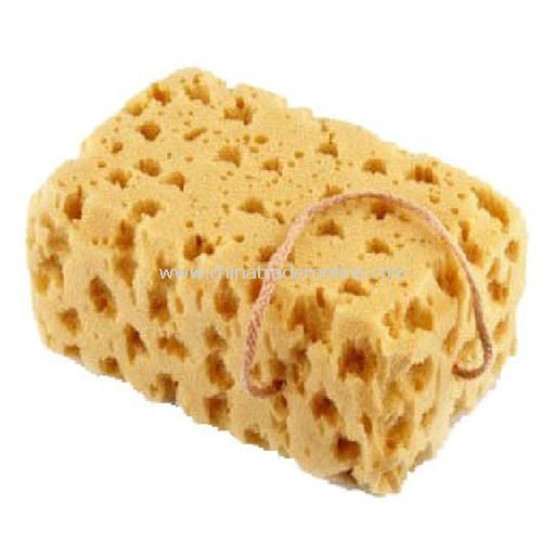 Big Thick Nature Coral Sponge Car Wash Macroporous Durable Cleaning Washing from China