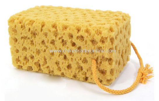 Car house car wash sponge coral from China