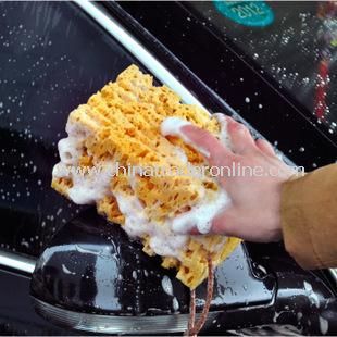 Honeycomb Coral Car Scrub Sponge