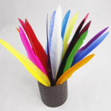 Goose Feather Ballpoint Pens from China