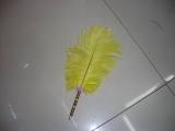Quill-Pen /Feather Pen /Fashion Pen from China