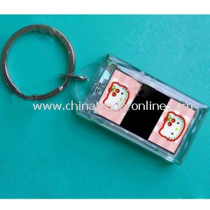 Plastic Solar Keychain, Made of Plastic, Environment-Friendly, OEM Order Are Accepted