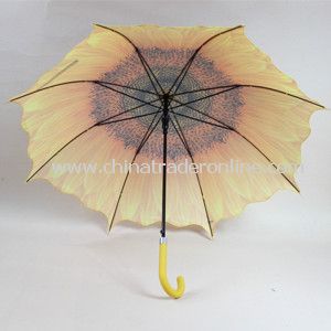 23inch Transfer Print Straight Umbrella with Auto Open from China