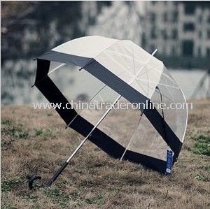 Fashion Promotional Lady Transparent Gift Straight Umbrella from China