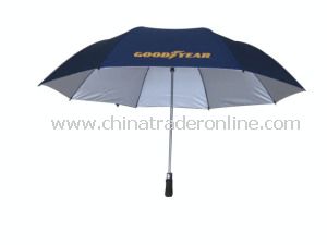 Auto Open 2 Fold Golf Umbrella Advertising Umbrella from China