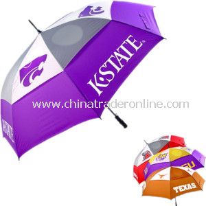 Automatic Windproof Brand Double Layer Golf Advertising Umbrella from China