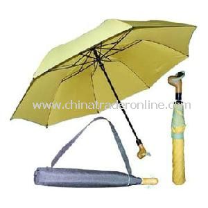 2 Section Golf Umbrella with Carry Bag from China