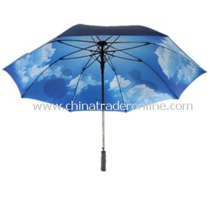 30inch Double Layer Stronger Windproof Golf Umbrella from China