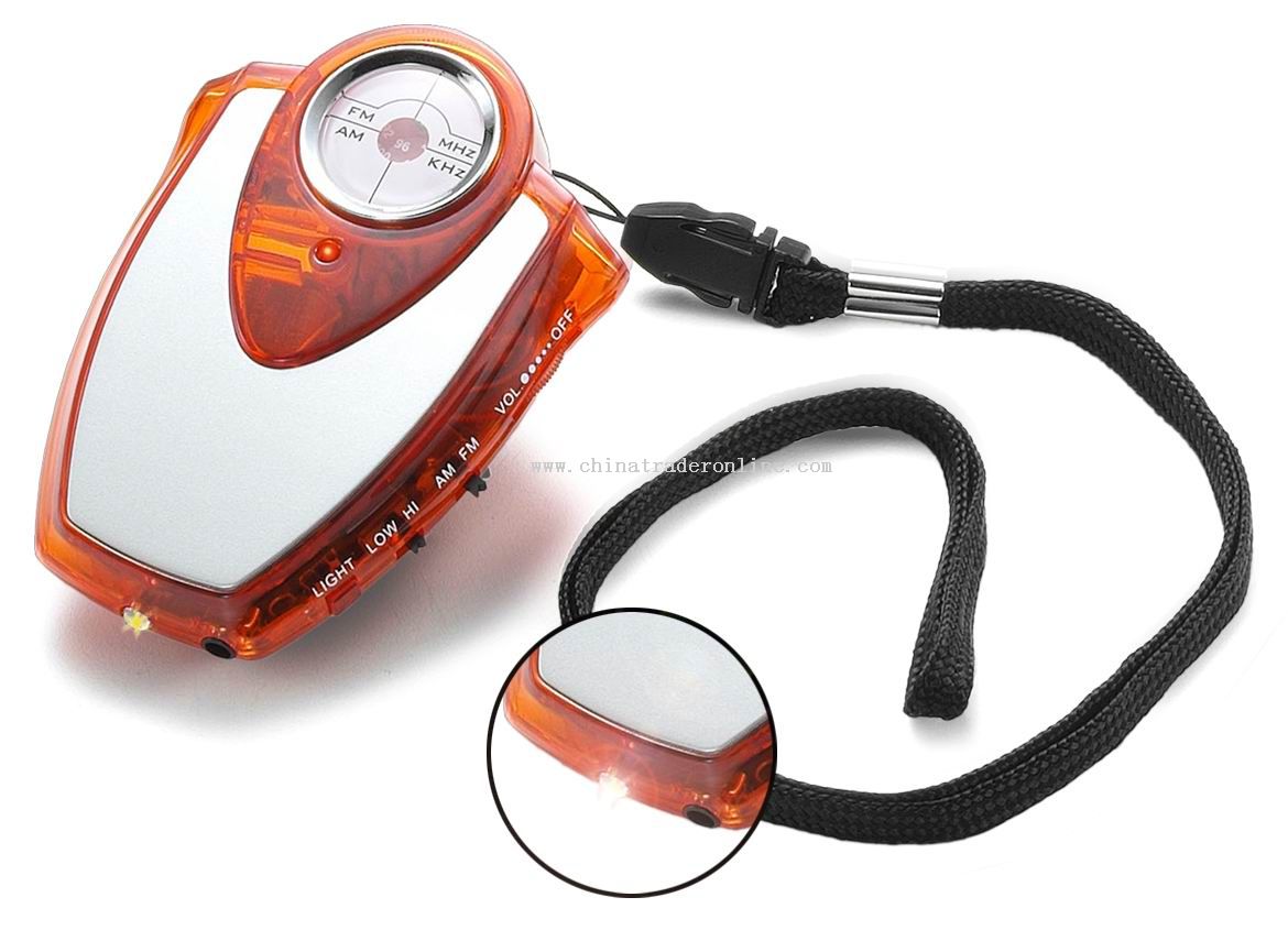 pedometer with radio