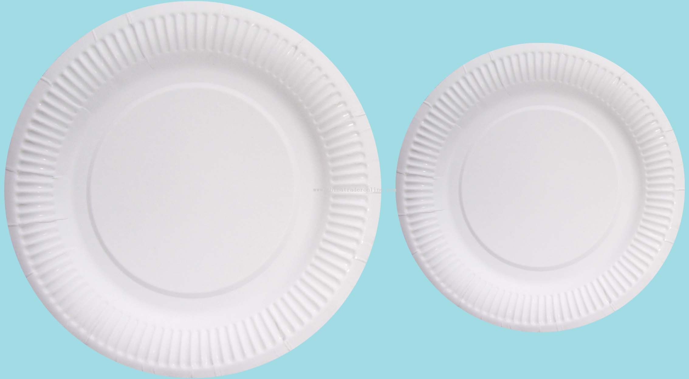 paper plate