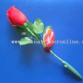 Flashing Recording Rose