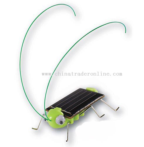 Solar grasshopper,Solar Toy Solar product manufacturer,solar products