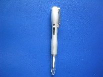 Flash pen