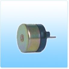 Brushless DC Motor (Minimotor)
