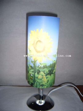The colored desk lamp on the sunny side