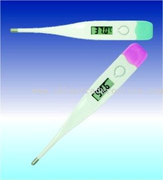 Clinical Digital Thermometer