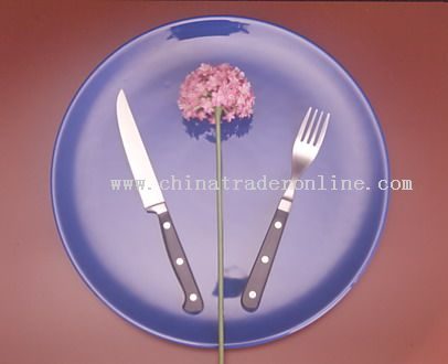 Steak Knife and Fork