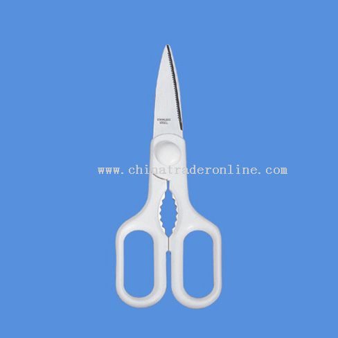kitchen scissors