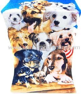 Animal Print Beach Towels